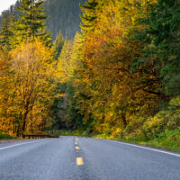 Mountain road surrounded by trees with autumnal colors in Liberty, Washington, USA